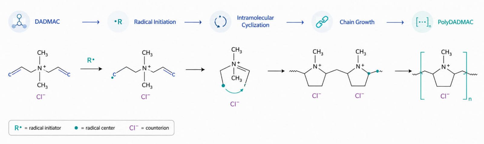 Schematic diagram of the radical cyclization polymerization of DADMAC monomer to form a five-membered pyrrolidine ring structure in the main chain